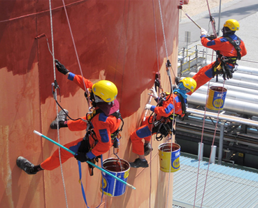 PF-Microsite_512x412_SUT.jpg